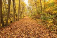 Start Your Own Trail – Don’t Ride on Trending Brands
